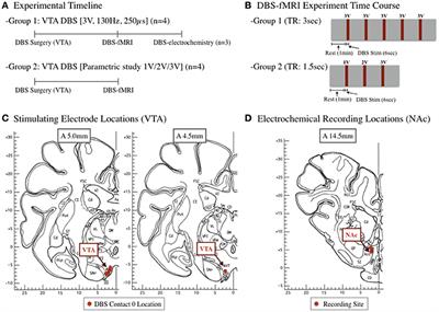 Functional Circuitry Effect of Ventral Tegmental Area Deep Brain Stimulation: Imaging and Neurochemical Evidence of Mesocortical and Mesolimbic Pathway Modulation